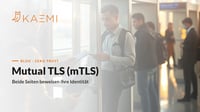 Passkontrolle am Grenzübergang: beide Seiten prüfen die Identität – Sinnbild für gegenseitige Authentifizierung mit Mutual TLS (mTLS)