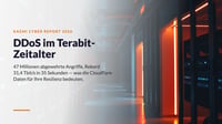 DDoS im Terabit-Zeitalter — die Bedrohungslage in Zahlen