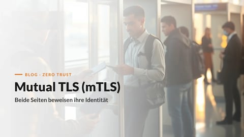 Passkontrolle am Grenzübergang: beide Seiten prüfen die Identität, Sinnbild für gegenseitige Authentifizierung mit Mutual TLS (mTLS)